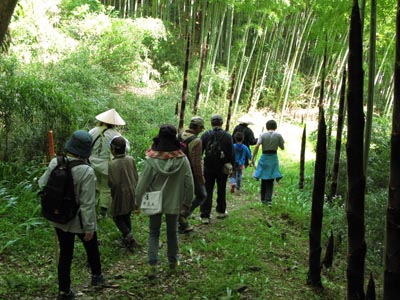 �������̌��j���ւ��A