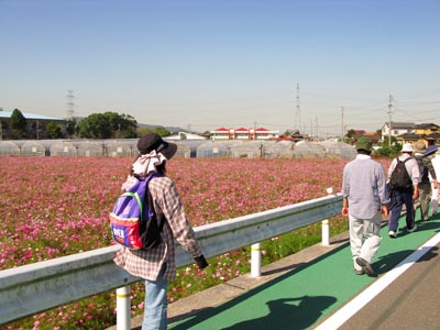 �E�H�[�L���O