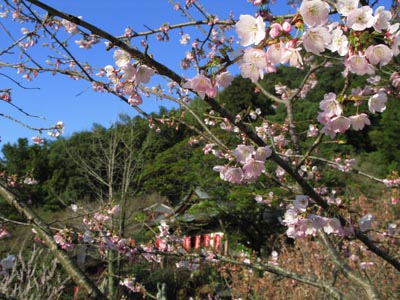 1204山王寺にて