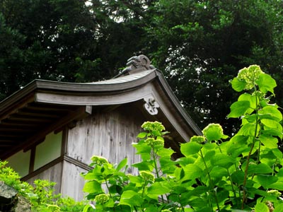 1206田ノ浦阿弥陀堂にて