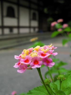 1209宝山寺にて