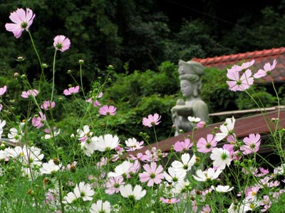 1210岡部神恵院にて