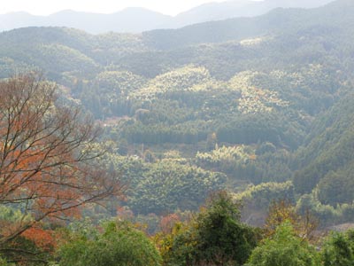 1312大久保観音堂に至るへんろ道にて