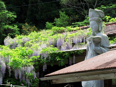 1505岡部神恵院にて