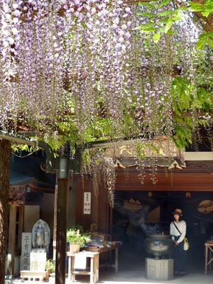 1805呑山観音寺にて