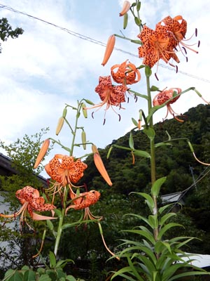 1808山王寺にて