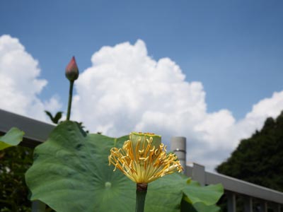 1908切幡寺にて