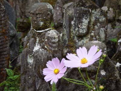 桐ノ木谷阿弥陀堂にて