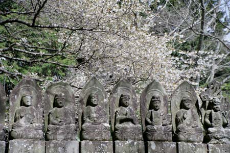 2204雷音寺にて