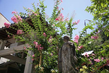 2508弘照院にて